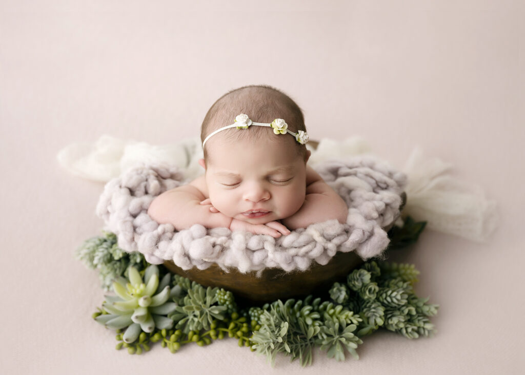 baby girl posed in bowl with succulents