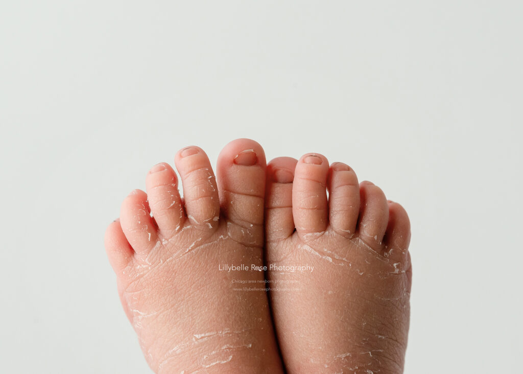 baby toes, tootsies, baby feet, newborn toes, newborn photographer, baby photoshoot, infant pictures, newborn photos