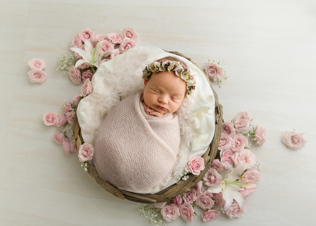 Wheaton newborn photography photoshoot