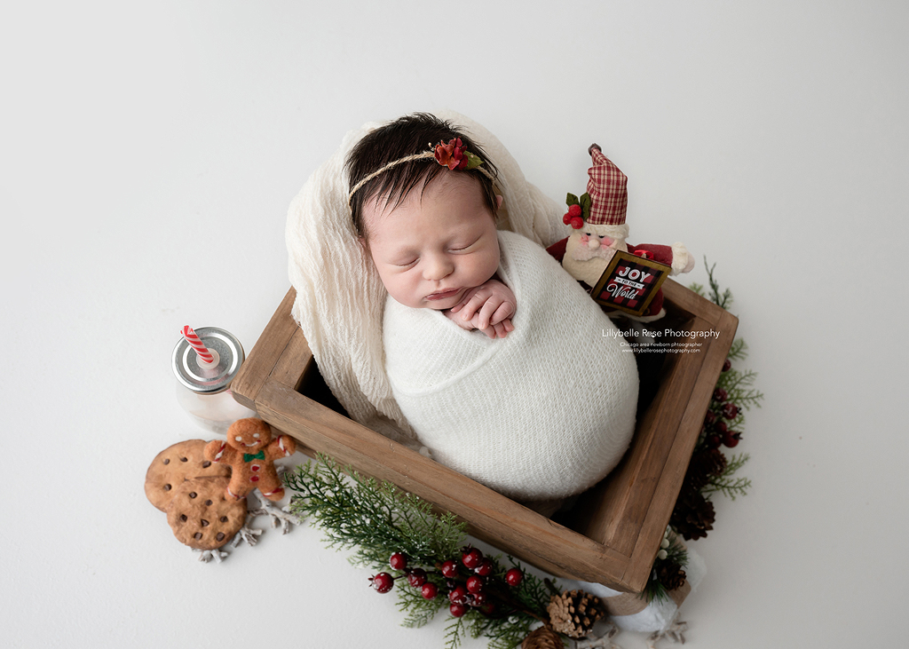 Baby sleeping in prop with Christmas props around her